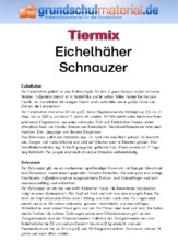 Eichelhäher - Schnauzer.pdf